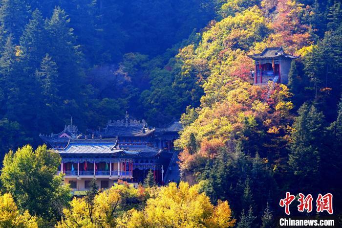 深秋，位于蘭州市榆中縣的興隆山景色如畫。宮衛(wèi)紅 攝