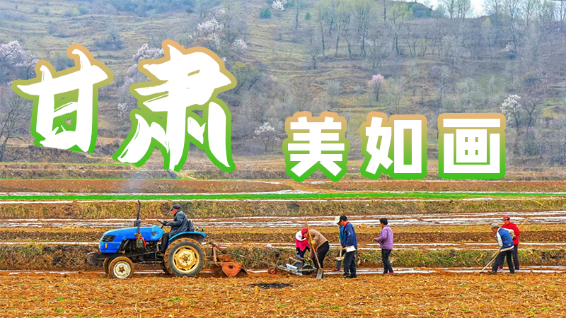微海報|甘肅，美如畫