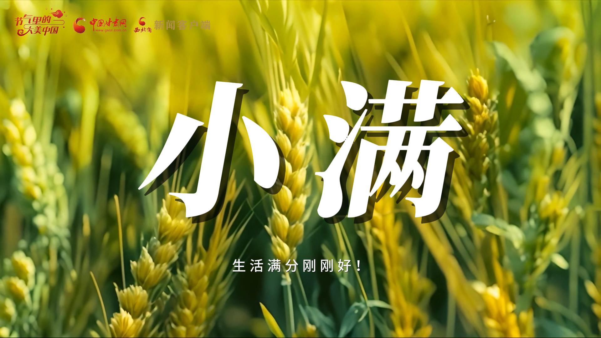【節(jié)氣里的大美甘肅·小滿】生活滿分剛剛好！