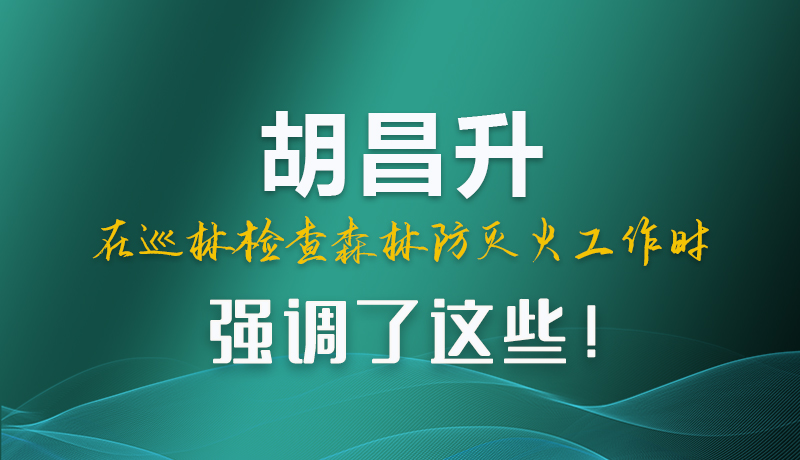 圖解|胡昌升在巡林檢查森林防滅火工作時強(qiáng)調(diào)了這些！