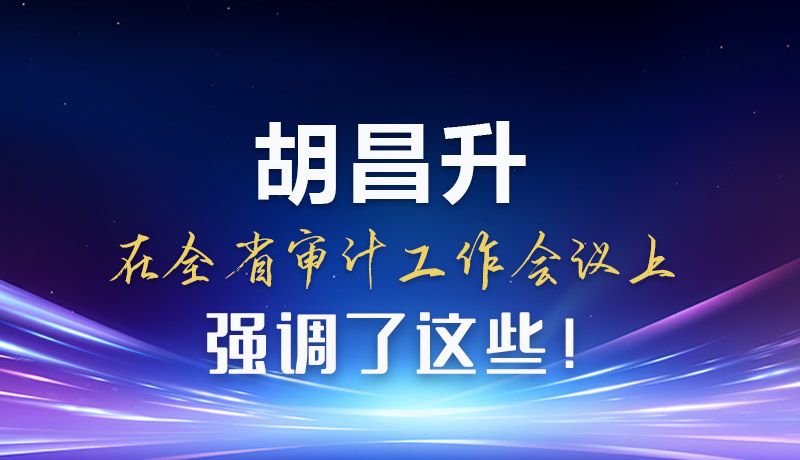 圖解|胡昌升在全省審計(jì)工作會議上強(qiáng)調(diào)了這些！