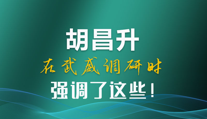 圖解|胡昌升在武威調(diào)研時強調(diào)了這些！