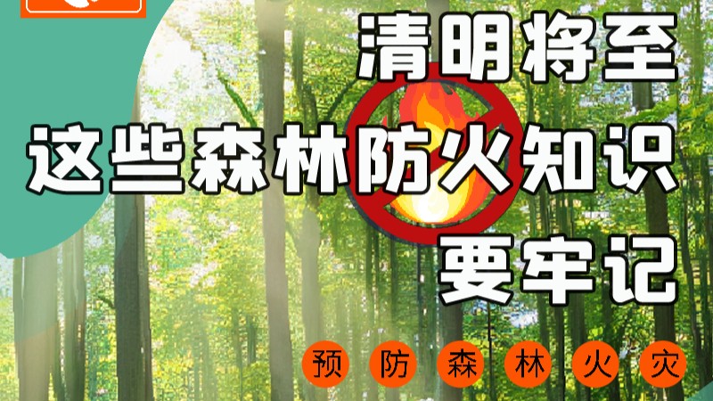 【甘快看】圖解|緊繃“安全弦”！清明，這些森林防火知識要牢記