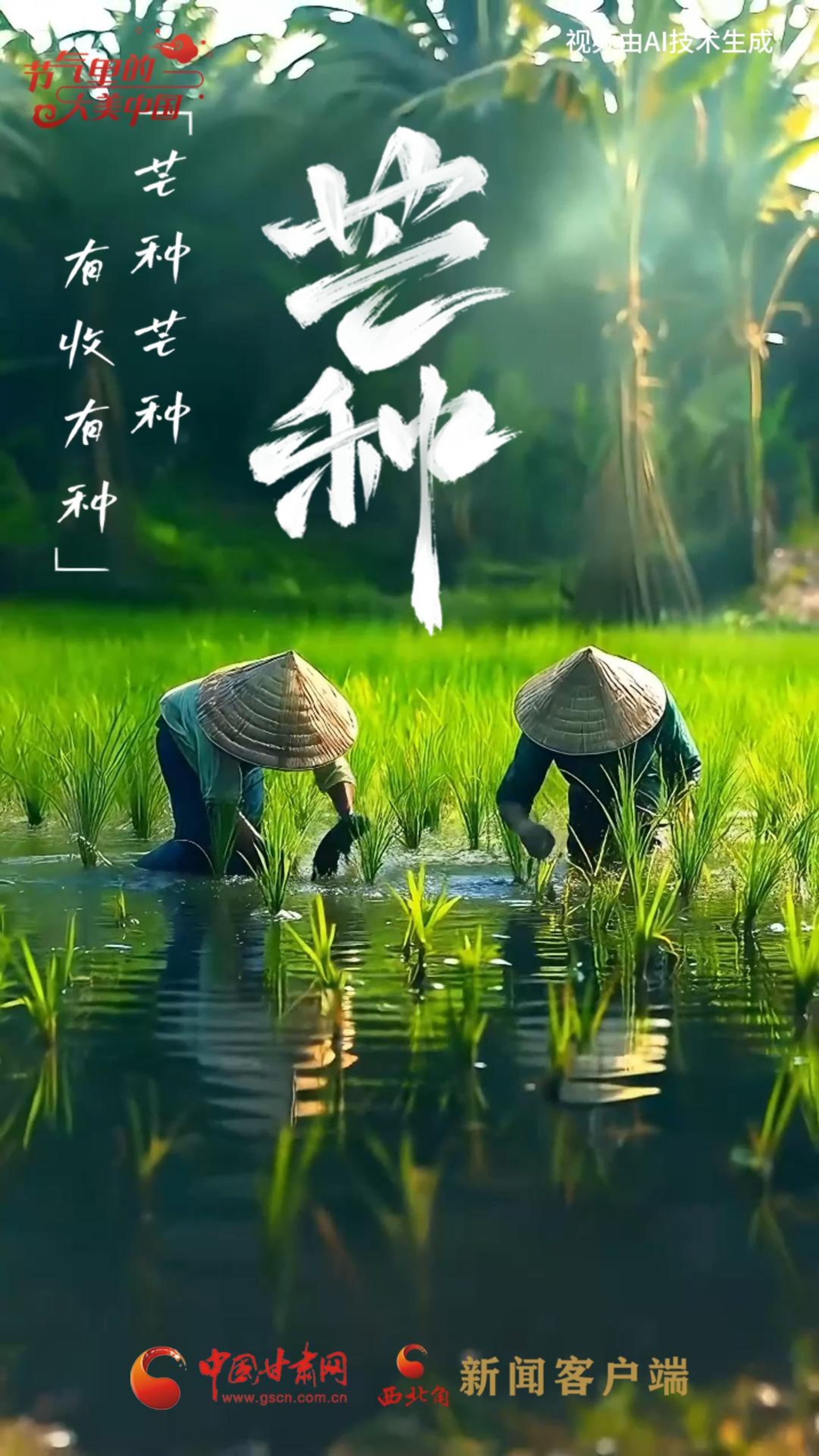 節(jié)氣里的大美甘肅|今日芒種：“芒”有所獲，“種”有所得