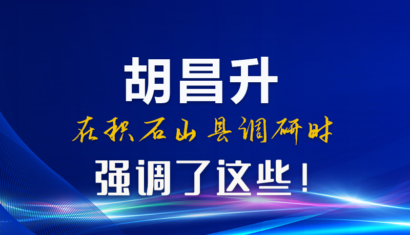 圖解|胡昌升在積石山縣調(diào)研時(shí)強(qiáng)調(diào)了這些！