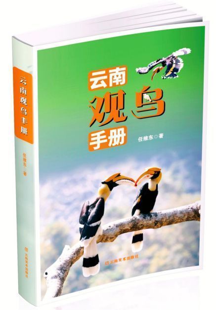 飛鳥的請(qǐng)柬：聽(tīng)見(jiàn)羽翼劃過(guò)彩云之南